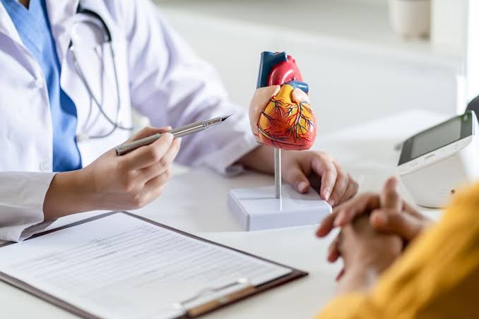 Médico explicando com uma caneta um modelo anatômico do coração a um paciente, durante o check-up cardiológico